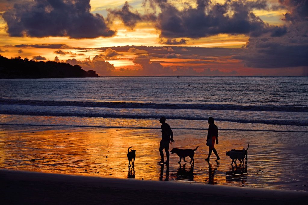 jimbaran beach, jimbaran, indonesia-2211434.jpg