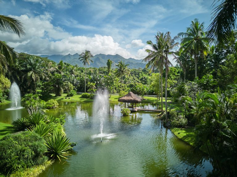 The Farm at San Benito